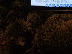 -风暴音乐烧烤串吧
