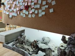 -白兔子密室(长寿路店)