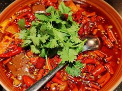 -华豫川酒家(大卫城店)