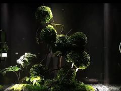 -唐宫足道·SPA·影院会馆(木渎店)