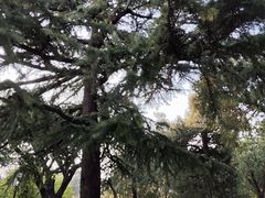 -北京市劳动人民文化宫(太庙)