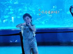 -常州海昌海洋探索馆