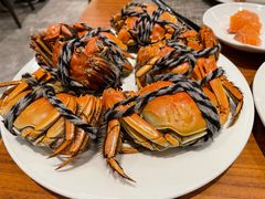 -苏州太湖假日酒店