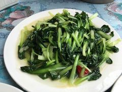 -翕庐小苑