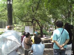 -晓港公园