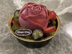 -哈根达斯(龙湖时代天街店)