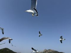 -海驴岛(荣成市)