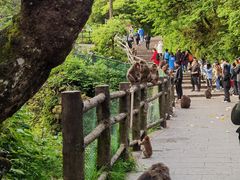 -峨眉山风景名胜区