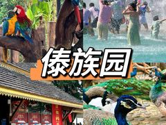 -西双版纳傣族园