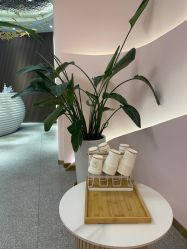 -MUSES专业脱毛比基尼サロン日式连锁