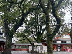 -富士山本宫浅间大社