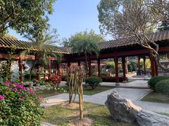 -顺峰山公园