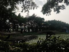 -广州长隆飞鸟乐园