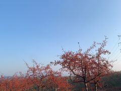 -棋盘山风景区