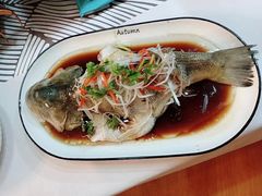-大班家政月嫂育儿嫂(总部店)