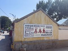 -养马岛旅游度假区