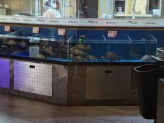 -鼎原力量东北吊炉烧烤(幸福街店)