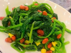 -蝎王府羊蝎子(西直门店)