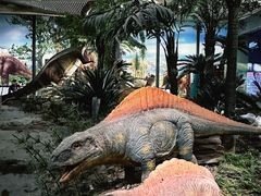 -湖南省地质博物馆