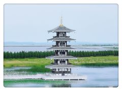 -呼兰河口湿地公园