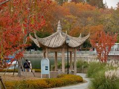 -中山公园