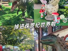 -灵玲国际马戏城