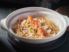 -鸽小宝(深圳首店)