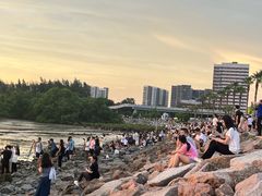 -宝安西湾红树林湿地公园