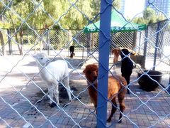 -长白岛森林公园