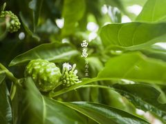 -三亚西岛海洋文化旅游区