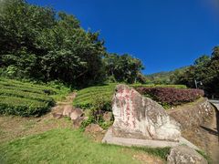 -敬亭山风景名胜区