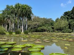 -中国科学院西双版纳热带植物园