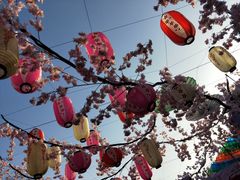 -倒盏民俗文化村
