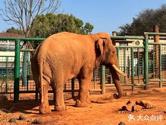 -昆明动物园