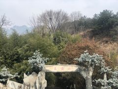 -王顺山国家森林公园