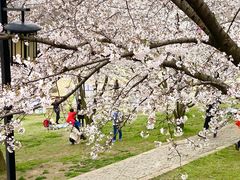 -苏州上方山国家森林公园