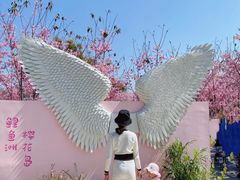 -福建鲤鱼洲酒店