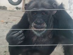 -新疆天山野生动物园