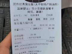 -黑色经典臭豆腐·湖南特产(坡子街店)