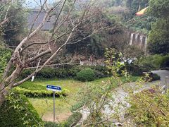 -十八棵（老龙井）御茶园(老龙井店)