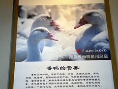 -斯丹姜母鸭·古法干香(田安南路店)