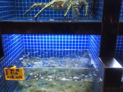 -徽三说·土徽菜·中国徽菜连锁品牌(一中店)