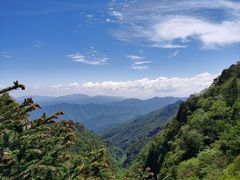 -牛背梁国家森林公园