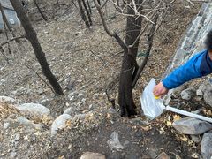 -阳台山自然风景区