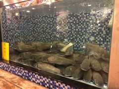-顺德一品粥·20年凤城老字号(芳村店)