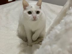 -豫楚源美猴王·面(武展店)