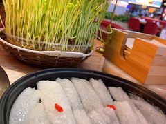 -好彩猪肚鸡(正弘城店)