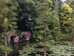 -神光山国家森林公园