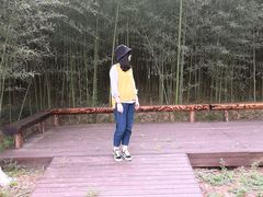 -黄海国家森林公园