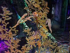 -沈阳海洋探索中心